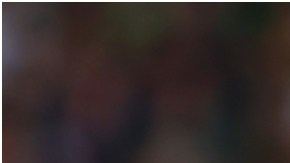 Andrés Guardado con la camisa de Real Betis.