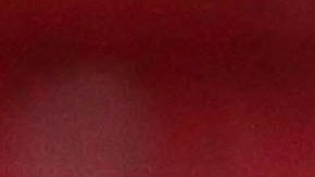 Antonio Briseño, defensa de las Chivas de Guadalajara.