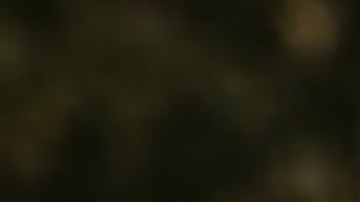 Arrestan a 3 adolescentes por caso de joven que murió luego de que arrojaran una roca