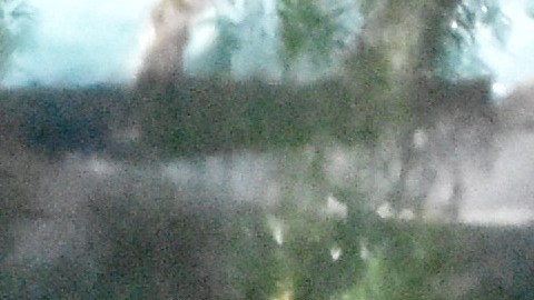 Bad Bunny y Kendall Jenner en Los Ángeles.