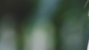 Audífonos inalámbricos