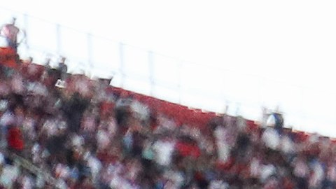 Chivas celebran el gol de Pável Pérez contra el Necaxa.