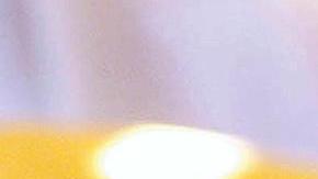 Los insectos se promocionan como una buena fuente de proteínas, pero pocos saben que también aporta componente fibroso e importantes cantidades de omega-3. / Foto: AFP/Getty Images