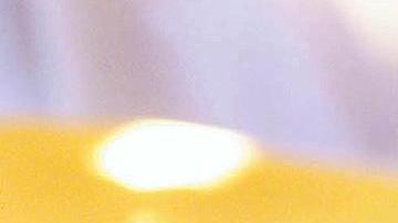 Los insectos se promocionan como una buena fuente de proteínas, pero pocos saben que también aporta componente fibroso e importantes cantidades de omega-3. / Foto: AFP/Getty Images