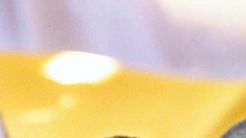 Los insectos se promocionan como una buena fuente de proteínas, pero pocos saben que también aporta componente fibroso e importantes cantidades de omega-3. / Foto: AFP/Getty Images
