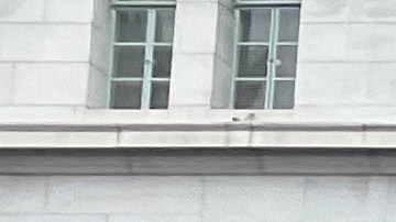 Trabajadores de la limpieza piden aumento salarial. (Cortesía)