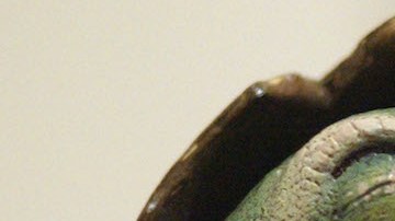 Este huevo fue hallado antes de que los dinosaurios fueran reconocidos científicamente. / Foto: Getty Images