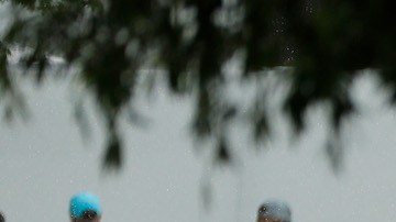 Después de que un rayo cayera sobre un árbol en un barrio de New Port Richey, un profesor de la Universidad del Sur de Florida descubrió que el impacto dio lugar a la formación de un nuevo material. / Foto: Getty Images