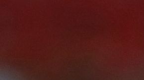 Guido Pizarro y Robert Dante Siboldi.