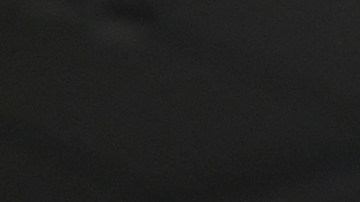 Erling Haaland celebra su doblete ante el Leicester.