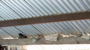 Las lenguas indígenas en Norteamérica, las lenguas del continente, son algunas de las más amenazadas del mundo. / Foto: AFP/Getty Images