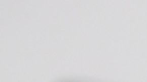 Fernando Tatis Jr. próximo a regresar con los Padres.