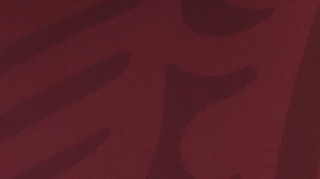 Delegación mexicana viaja a Washington D.C. para abordar tráfico de fentanilo, armas y migración