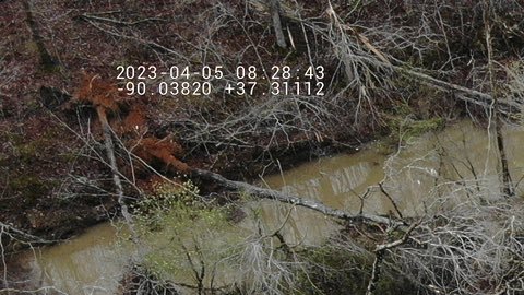 En imágenes: los daños causados por el tornado que dejó al menos cinco muertos en Missouri