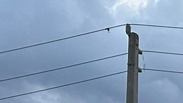 Impacto de un tornado por condado de Florida provocó destrozos y dejó a cientos de personas sin electricidad