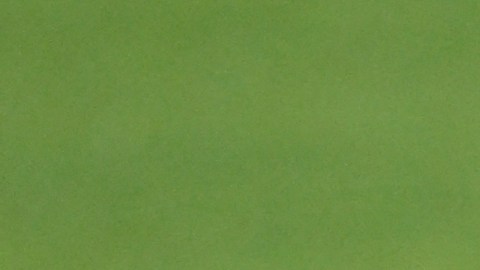 Gerardo Martino ex entrenador de México.