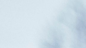 CBS revela que funcionarios del Servicio Secreto testificarán en investigación de documentos de Trump