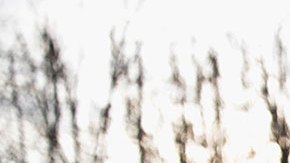 Tiroteo en funeral en Washington D.C. deja varios heridos