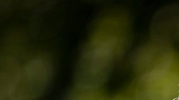 Joe Biden elige a Julie Chávez Rodríguez, nieta del activista latino César Chávez, como su jefa de campaña 2024