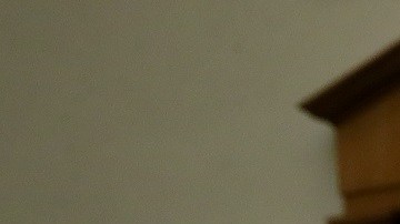 La representante demócrata Rashida Tlaib (de verde).