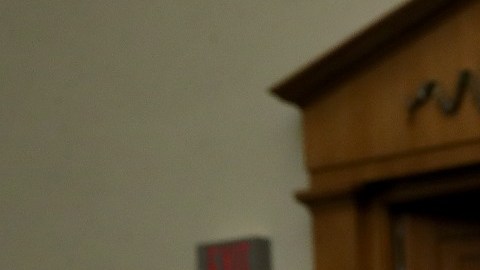 La representante demócrata Rashida Tlaib (de verde).