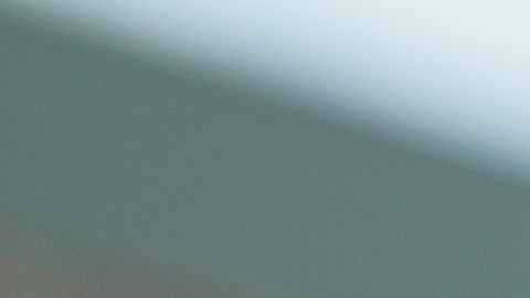 Gobernador de Florida firma ley que permite porte de armas sin permiso