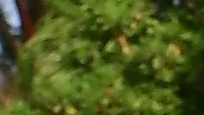 Students are directed to buses by a Los Angeles Couty Sheriff's Department officer after a shooting at Saugus High School in Santa Clarita, California on November 14, 2019. - A teenager shot dead two fellow students and wounded three others on his sixteenth birthday at a high school north of Los Angeles, before turning the gun on himself and being taken into custody still alive. (Photo by Frederic J. BROWN / AFP) (Photo by FREDERIC J. BROWN/AFP via Getty Images)