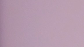 LOS ANGELES, CALIFORNIA - NOVEMBER 24: Jamie Lee Curtis attends the 2019 American Music Awards at Microsoft Theater on November 24, 2019 in Los Angeles, California. (Photo by Matt Winkelmeyer/Getty Images for dcp)