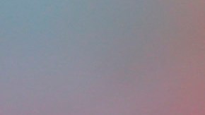 Robert Dante Siboldi.