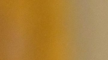 Biden debe usar su poder ejecutivo para avanzar medidas que provean alivio migratorio.