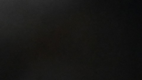 Karim Benzema y Eduardo Camavinga con el Real Madrid.