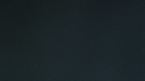 Antonio Mohamed, entrenador de Pumas de la UNAM en la Liga MX.
