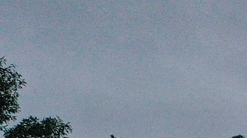 El cruce de inmigrantes por la selva del Darién ha aumentado significativamente.