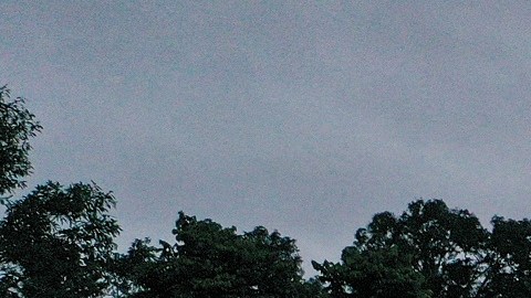 El cruce de inmigrantes por la selva del Darién ha aumentado significativamente.