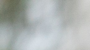 La Corte Estatal de Carolina del Norte negó fallos anteriores sobre el derecho al voto en el estado.