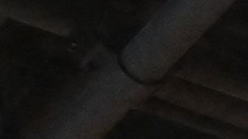 People cast ballots on electronic voting machines for the midterm election during early voting ahead of Election Day inside a vote center at the Hammer Museum in Los Angeles, California on November 7, 2022. (Photo by Patrick T. FALLON / AFP) (Photo by PATRICK T. FALLON/AFP via Getty Images)