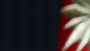 Turquía asegura que dio muerte en Siria al líder del Estado Islámico