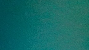 Nicolás Larcamon, entrenador del Club León.