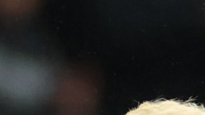 Garnacho renovó contrato hasta 2028.