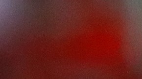 Fernando Gorriaran con Tigres UANL en la Liga MX.