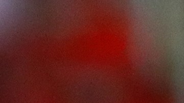 Fernando Gorriaran con Tigres UANL en la Liga MX.