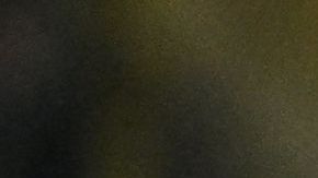 Enner Valencia con el Fenerbahce.