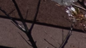 Revelan que sospechosa de Nashville disparó 152 rondas, en un tiroteo que planeó por varios meses