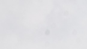 El complejo de apartamentos Calais dañado por un tornado el 31 de marzo de 2023 en Little Rock, Arkansas.