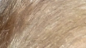 A Trump se le están acabando los argumentos para no asistir al juicio en su contra en el caso de E. Jean Carroll.