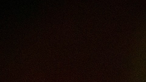 Miguel Herrera no ha dirigido fuera de México.