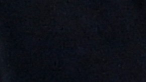 Mike Tyson, reconocido exboxeador estadounidense.