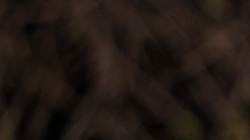 "Quisiéramos poder deshacer lo hecho": hablan los padres del autor del tiroteo que mató a cinco personas en un banco de Louisville