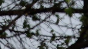 Policía publica imágenes de la cámara corporal durante el tiroteo en un banco de Louisville