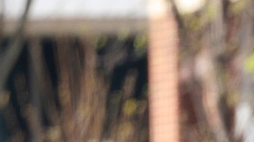 Varias agencias policiacas respondieron a la alerta del tiroteo enn Louisville, Kentucky.